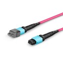 Multimode MPO-12 (Female) to MPO-12 (Female) Trunk Cable (12 Fiber, 50/125 OM4, Type B, LSZH)