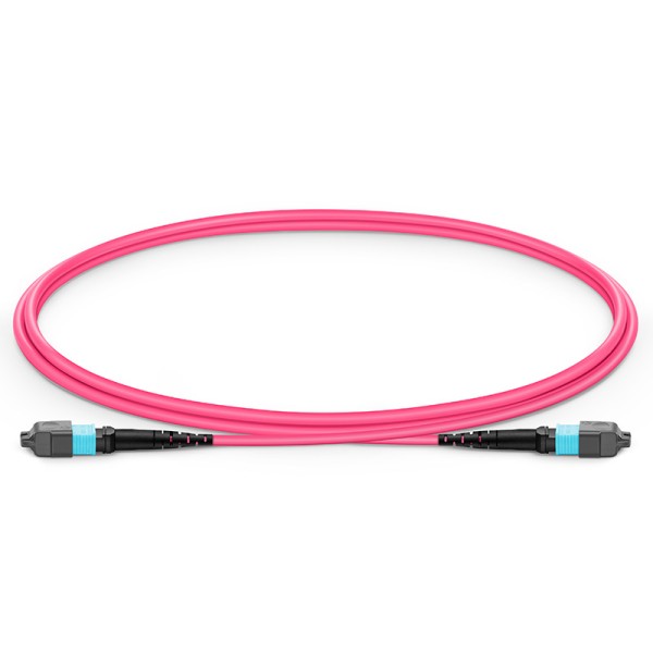 Multimode MPO-24 (Female) to MPO-24 (Female) Trunk Cable (24 Fiber, 50/125 OM4,Type B, LSZH, Magenta)