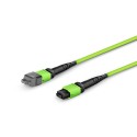 Multimode MPO-24 (Female) to MPO-24 (Female) Trunk Cable (24 Fiber, 50/125 OM5, Type B, LSZH, Lime Green)