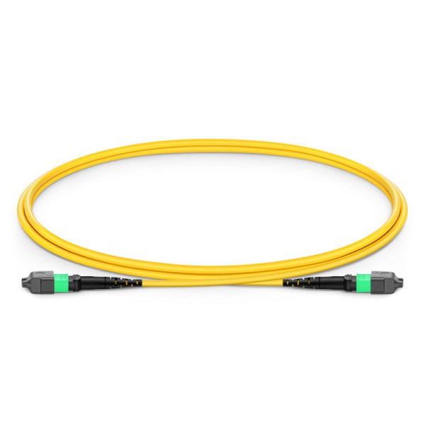 Single Mode MPO-12 (Female) to MPO-12 (Female) Trunk Cable (12 Fiber, 9/125 OS2, Type B, LSZH)