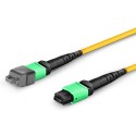 Single Mode MPO-16 (Female) to MPO-16 (Female) Trunk Cable (16 Fiber, 9/125 OS2, Type B, LSZH)