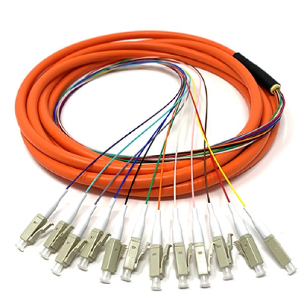 OM1 62.5/125 Multimode 12-Fiber Distribution Fiber Optic Pigtail