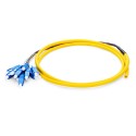 OS2 9/125 Singlemode 12-Fiber Distribution Fiber Optic Pigtail