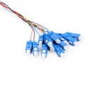 OS1 9/125 Singlemode 12-Fiber Distribution Fiber Optic Pigtail