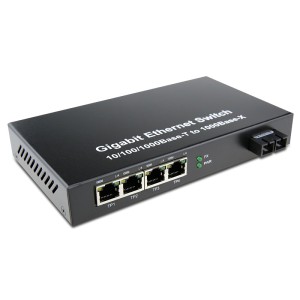Dual Fiber 10/100/10...