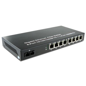 Dual Fiber 10/100/10...