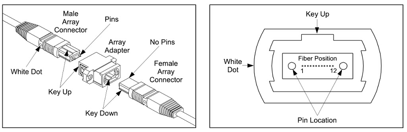 MTP/MPO Connector Structure